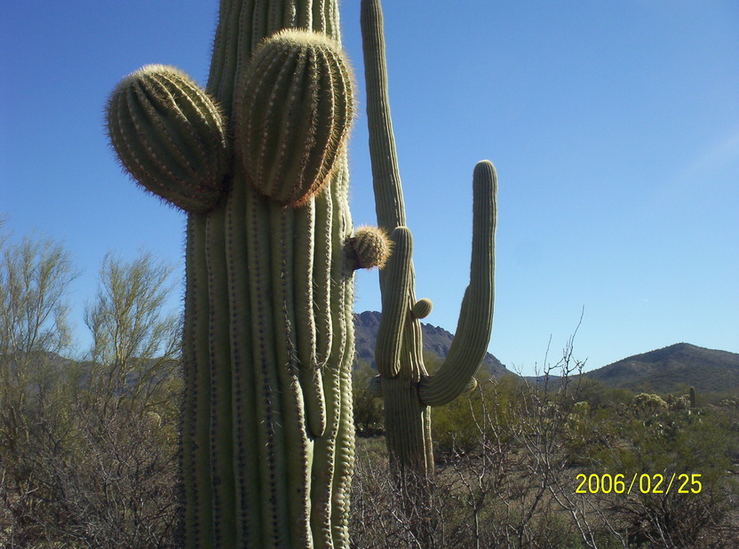 Tucson, AZ: around tucson az,