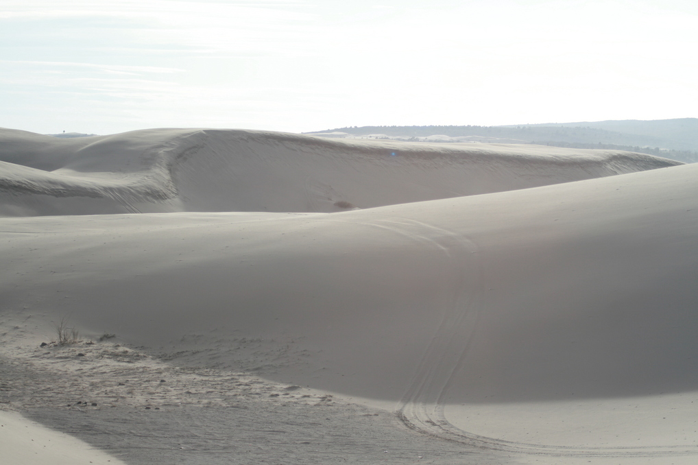 St. Anthony, ID: Sand Dunes at St Anthony