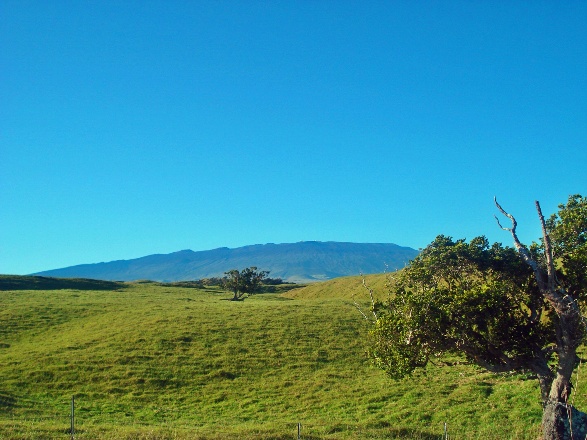 Waimea, HI: Sunny day on Majestic Mauna Kea