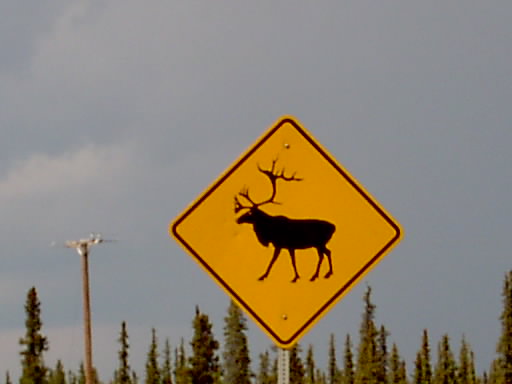 Wasilla, AK: Caribou Crossing