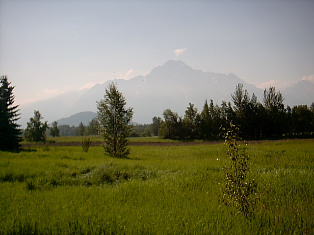 Palmer, AK: Mts. around Palmer, near fairgrounds