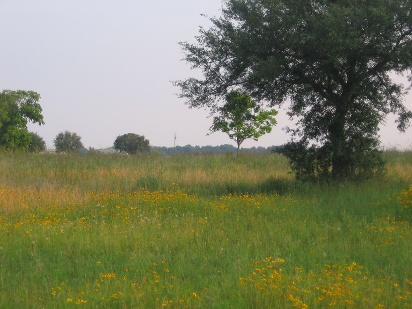 East Bernard, TX Looking out the pasture at sundown photo, picture
