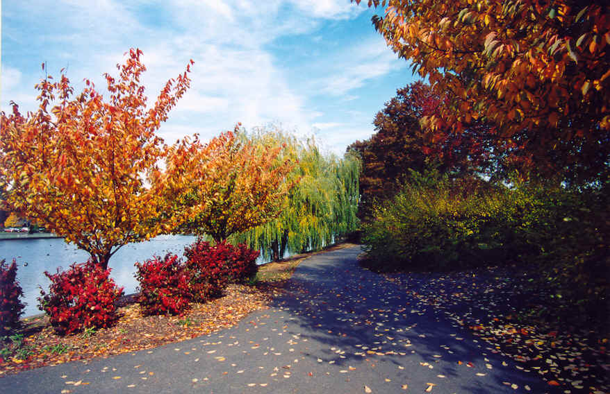 Edison, NJ: Fall in Roosevelt Park