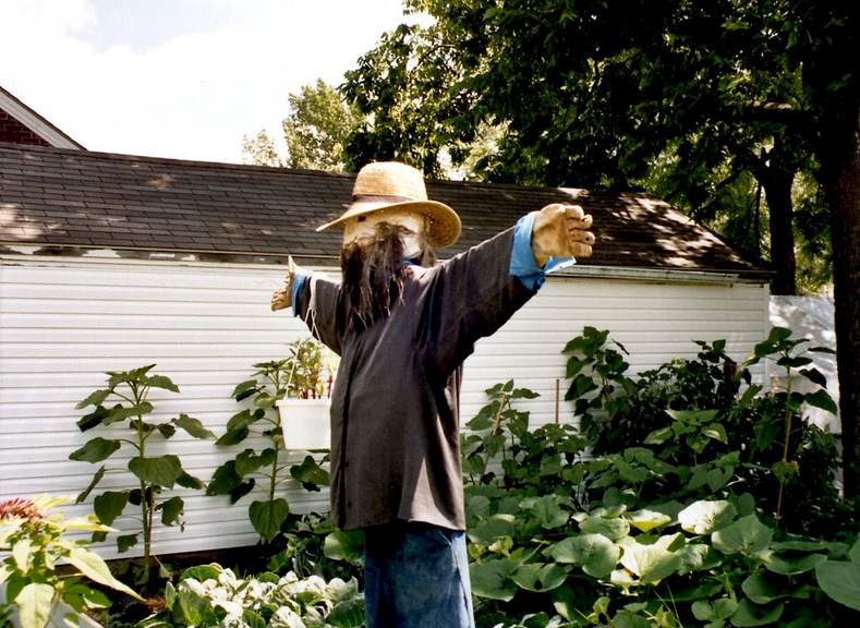 Rogersville, MO: An ex-Amish man makes use of his last Amish clothes to protect his raised gardens