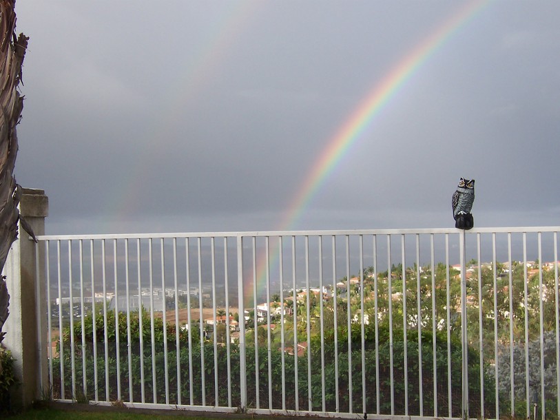 Portola Hills, CA: It;s All Rainbow's In Portola Hills