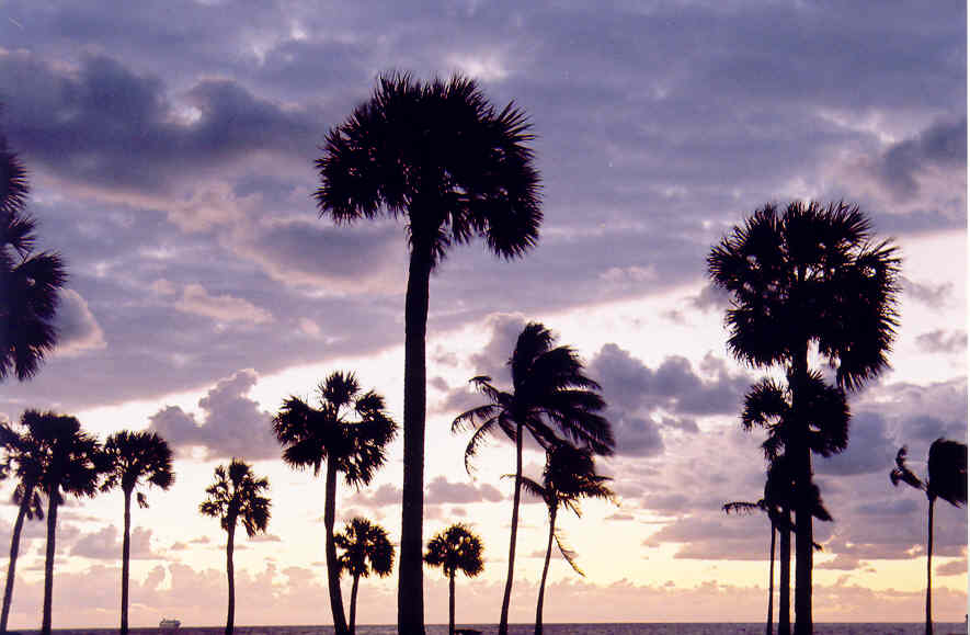 Fort Lauderdale, FL: Sunrise over fabulous Fort Lauderdale