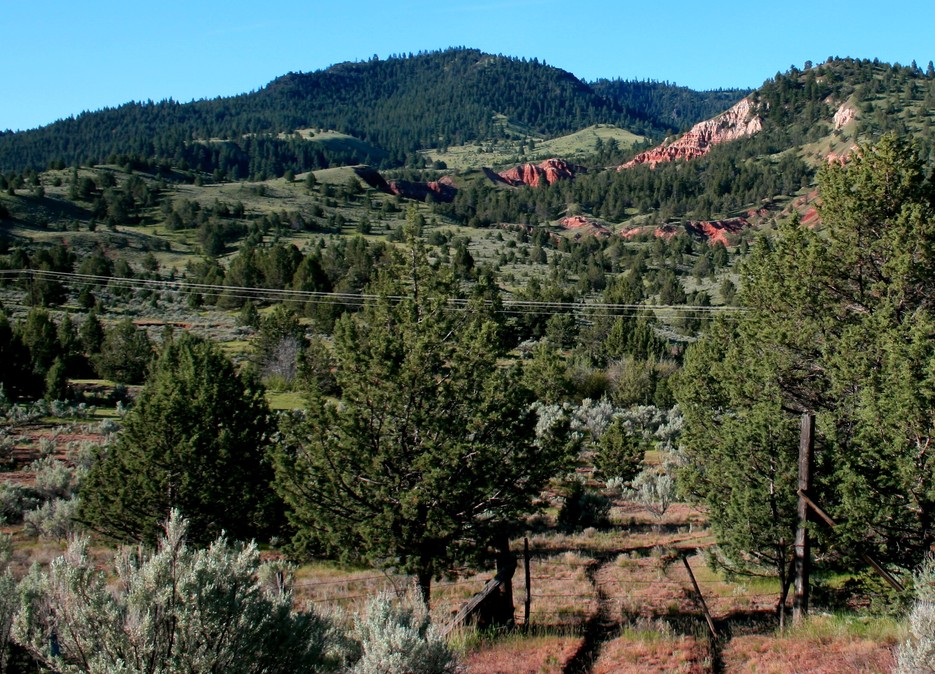 Long Creek, OR Ranch land off of Hwy 204 west of LC..... photo