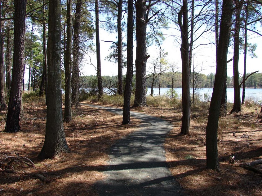 Cambridge, MD: Blackwater National Wildlife Refuge