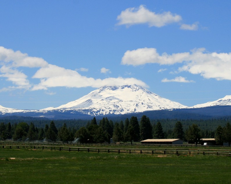 Sisters, OR: South Sister overlooks llama ranch, recent rumblings have volcanologists wondering if a St Helens type eruption might be in the near future....