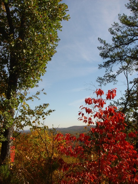 Hot Springs, AR: Gorgeous fall colors from a hiking trail in downtown Hot Springs!