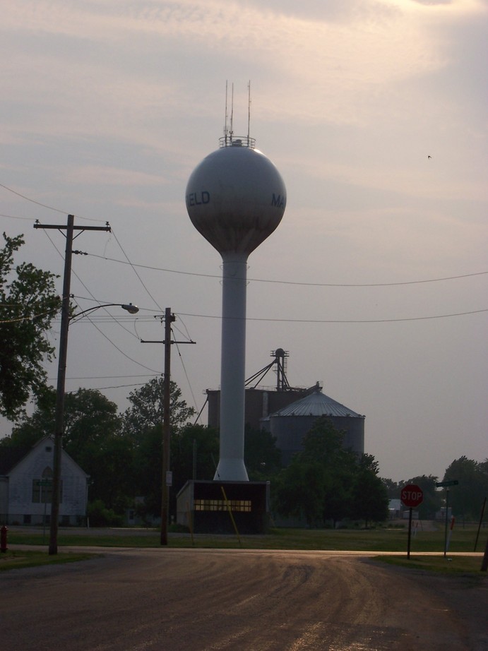 Mansfield, IL: Mansfield Water Tower