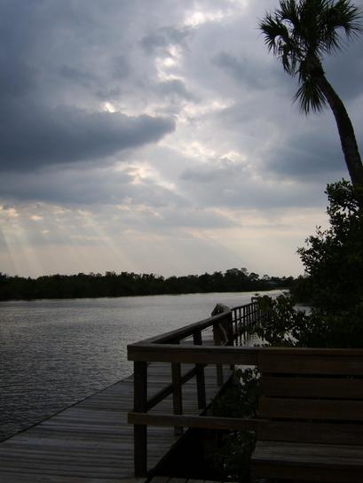 Stuart, FL: The sun peeks through on a dock at South River condos.