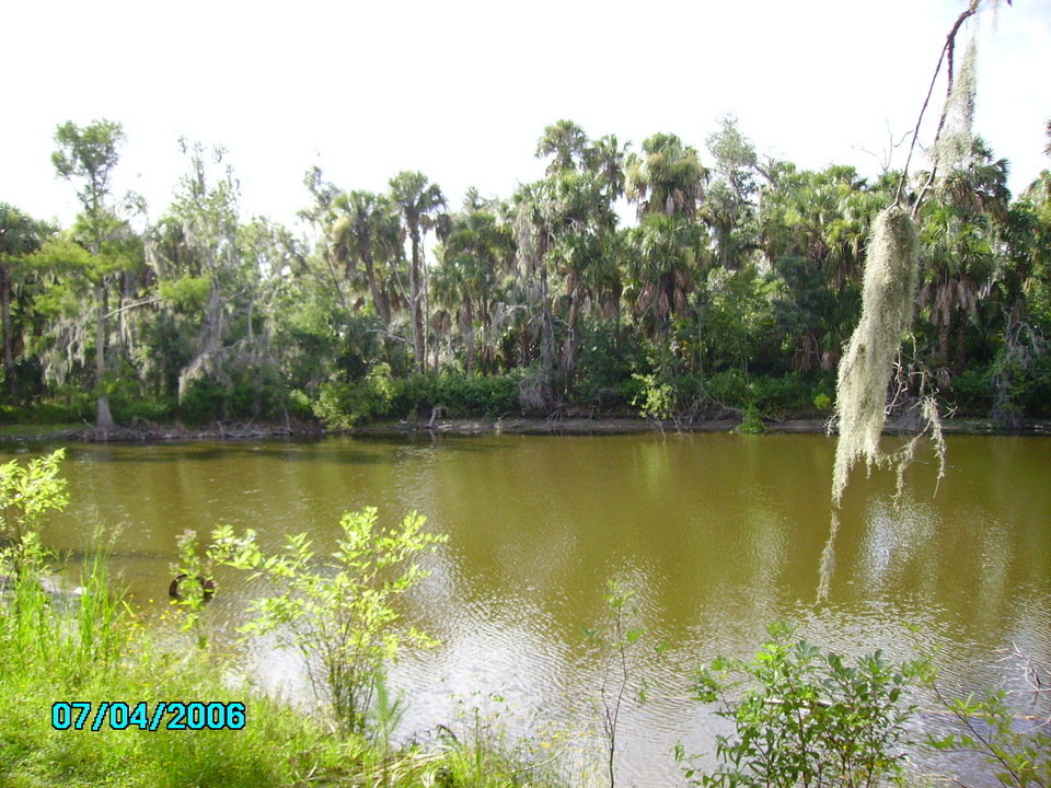Wauchula, FL: Peace River flows through Pioneer Park in Wauchula
