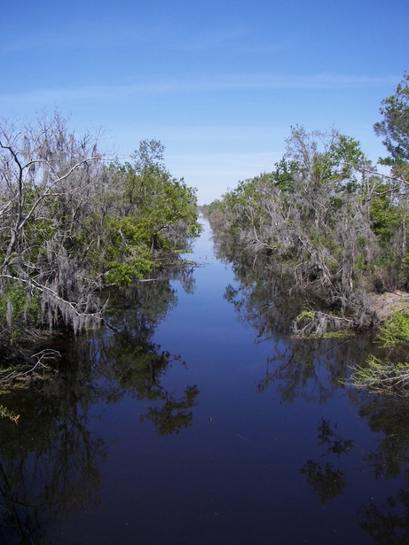 Marrero, LA: Jean Lafitte State Park in Marrero, Louisiana ( Boardwalk )