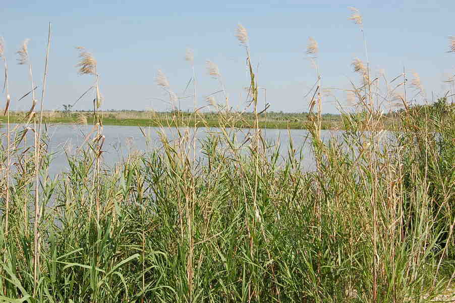 Spanish Fort, AL: Boating at Five Rivers Center