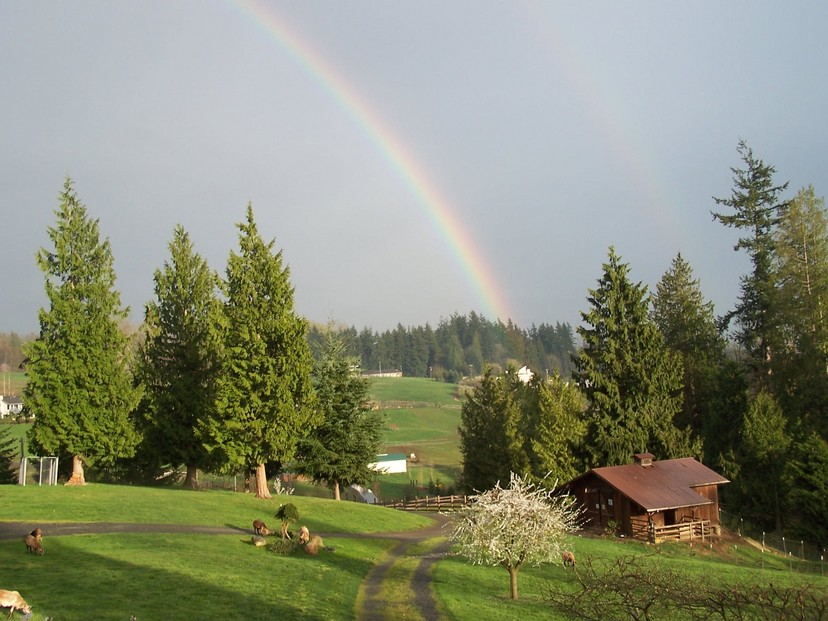 Snohomish, WA: Spring on dutch Hill