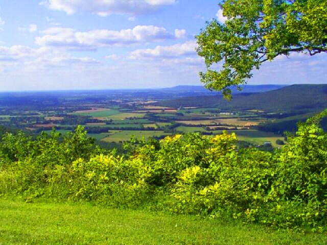 Sewanee, TN: Greens View, A beautiful place to go to look off the bluff into the valley.