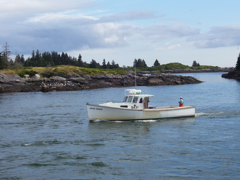 Vinalhaven, ME: Returning with the Catch