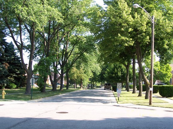 Harwood Heights, IL: Harwood Heights residential street