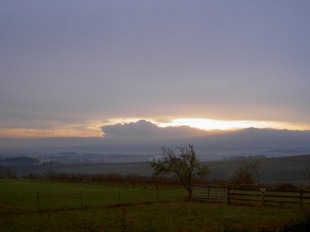 Banks, OR: View of Banks from Maller lane