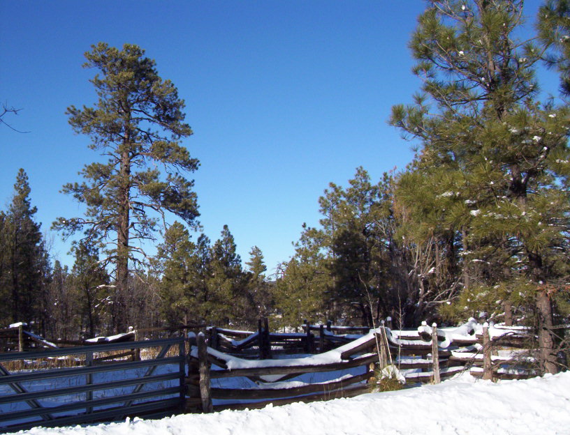 AZ Split Rail Fence in Lakeside, Winter 2006 photo