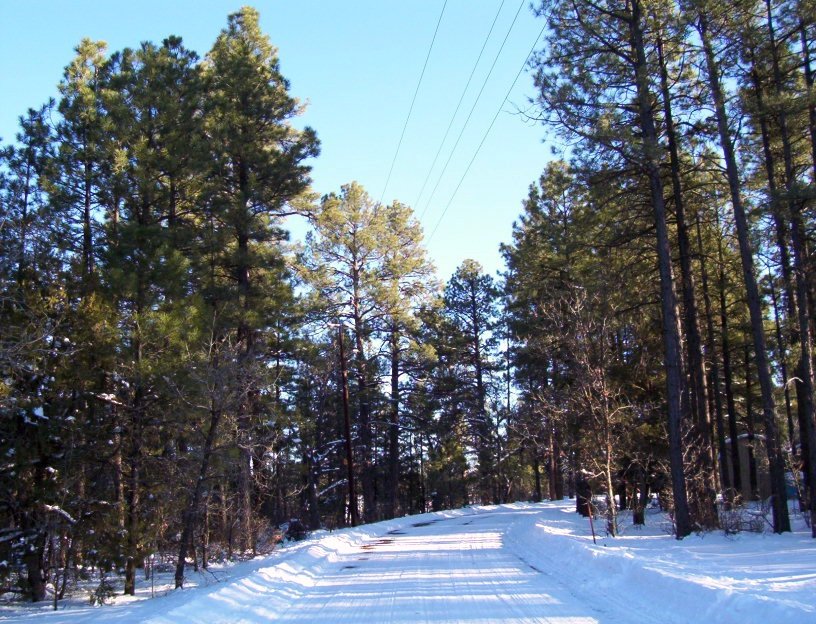 Pinetop-Lakeside, AZ: Snowy Road in Lakeside, Winter 2006