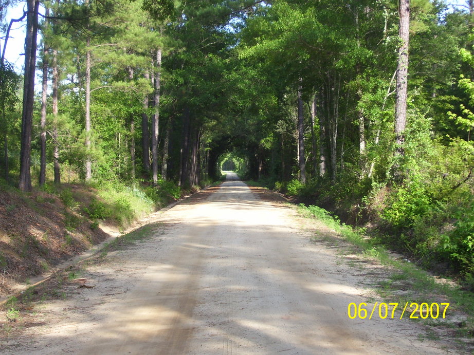 Soperton, GA A dirt road in Rockledge, photo, picture, image