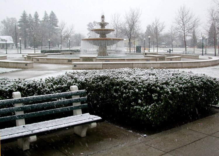 South Yuba City, CA: Snow in Yuba City, CA a very rare occurence about every ten years