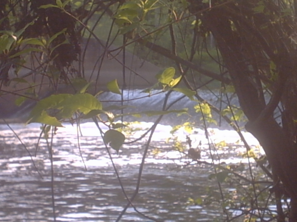 Turkey Creek, LA Dam Aat CoCodrie lake 6 miles from town photo