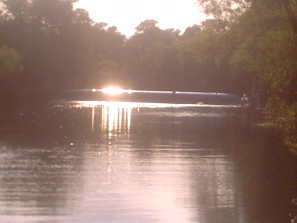 Turkey Creek, LA: Dam Aat CoCodrie lake 6 miles from town