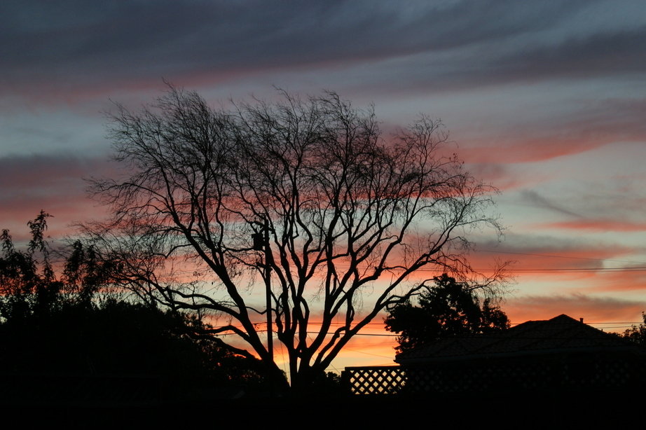 Mountain View, CA: sunset from my Mountain View backyard