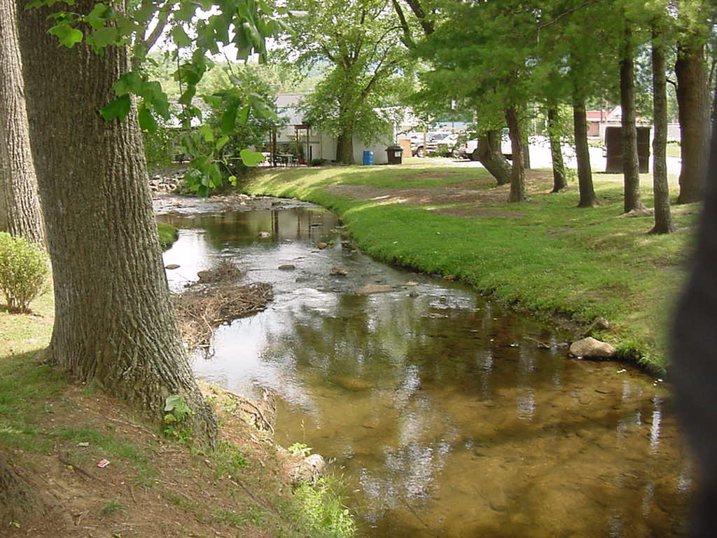 Black Mountain, NC: mother nature welcome