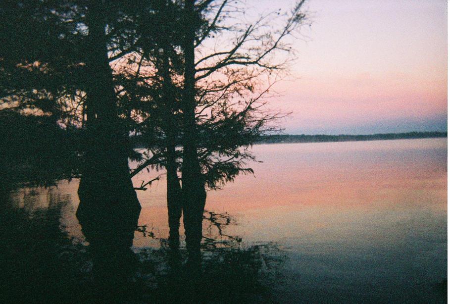 Mooringsport, LA: Sunrise on Caddo Lake 2006