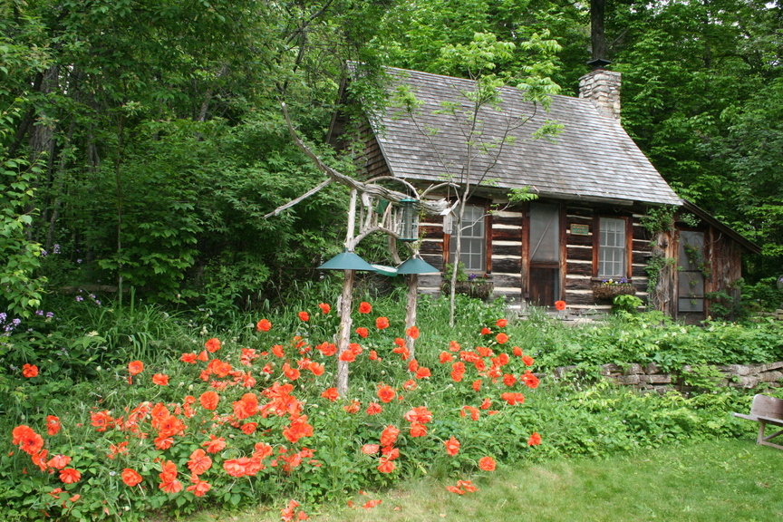 Liberty Grove, WI: Spring Poppies at the Clearing Folk School in Liberty Grove, Wi