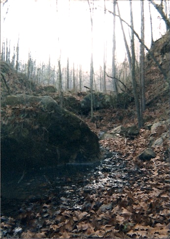 Gallipolis, OH: Old coal seam in Gallia county