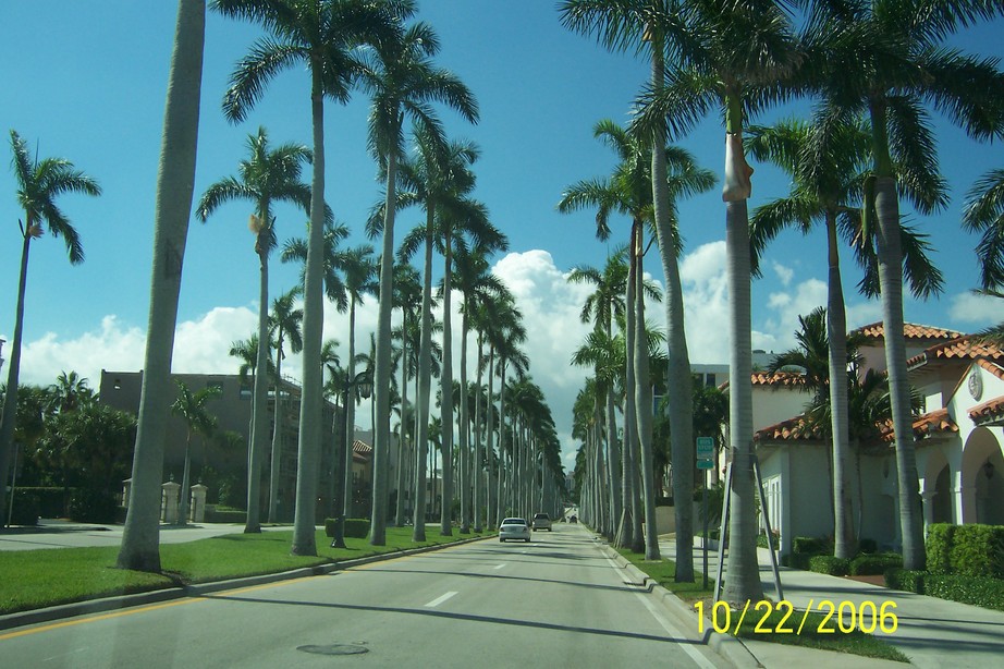 Palm Beach, FL: A palm lined street in Palm Beach