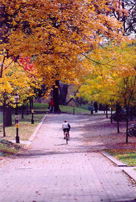 Princeton, NJ: Fall at Princeton University