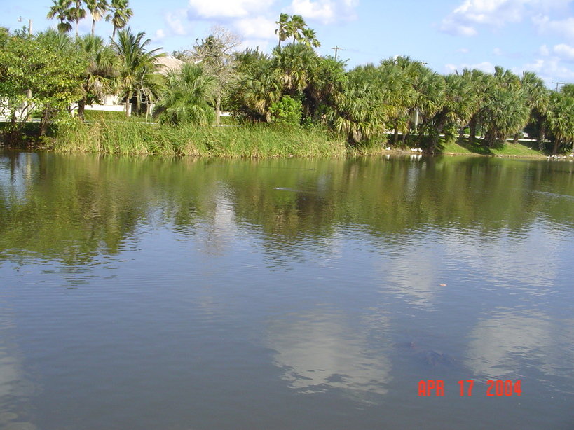 Palm Beach Gardens, FL Juno Park photo, picture, image (Florida) at