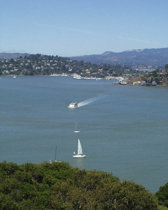 Tiburon, CA: Tiburon Ferry from Mt. Livermore