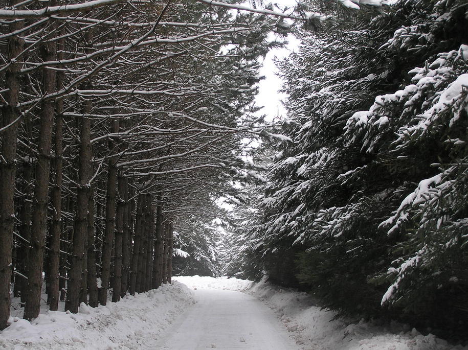 Portage, WI: "Winter Wonderland" Portage, WI