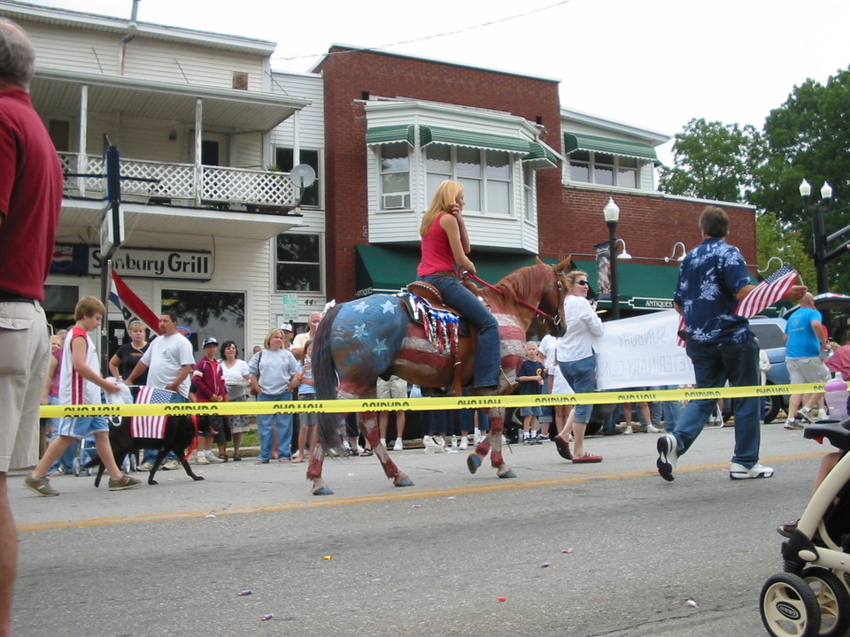 Sunbury, OH: Patriotic Horse