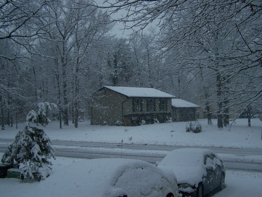 Waldorf, MD: snowy day in waldorf