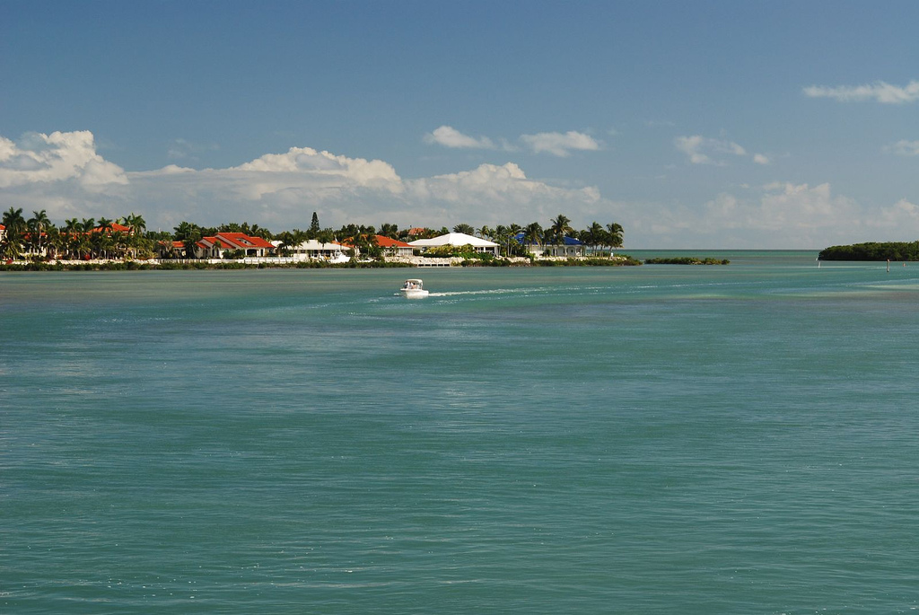 Cudjoe Key, FL: Cudjoe Gardens