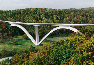 Franklin, TN: Natchez Trace - the most photographed segment, right in Williamson County!