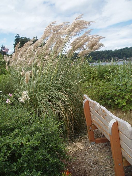 Freeland, WA: Freeland's Park provides benches that invite a conversation for two.