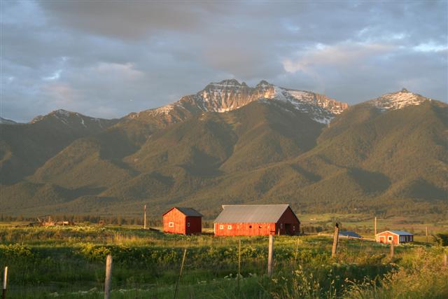 Charlo, MT: Red barns on end of Leon Rd & Hwy 93, Charlo, MT. Mission Mtns in background.