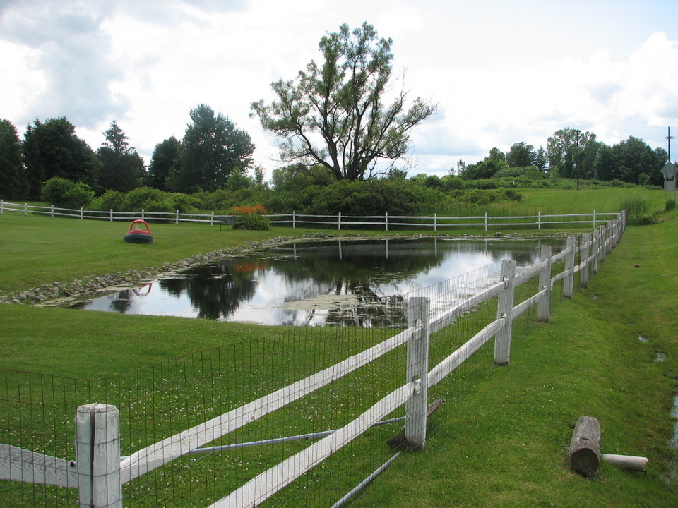 Sennett, NY: local sennett homeowners pond