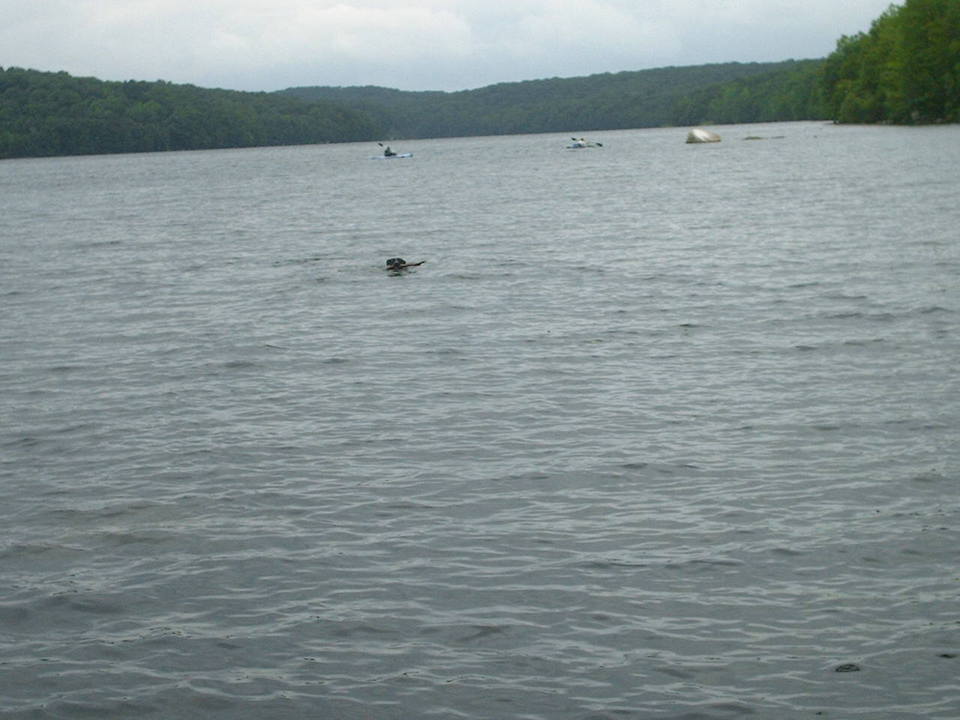 Rockaway, NJ Split Rock Reservior photo, picture, image (New Jersey