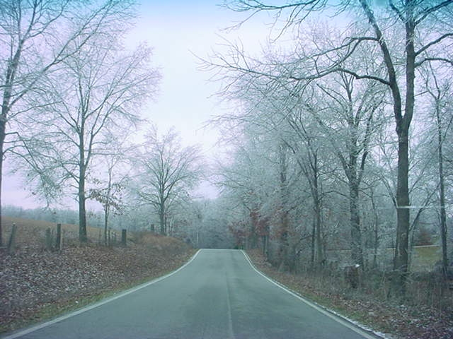 Branson West, MO: Trees a week after ice storm