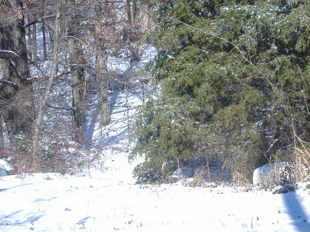 Branson West, MO: Our back yard after the first snow in 2007